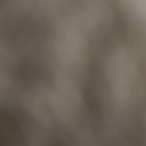 Meet your Posher, Ginger